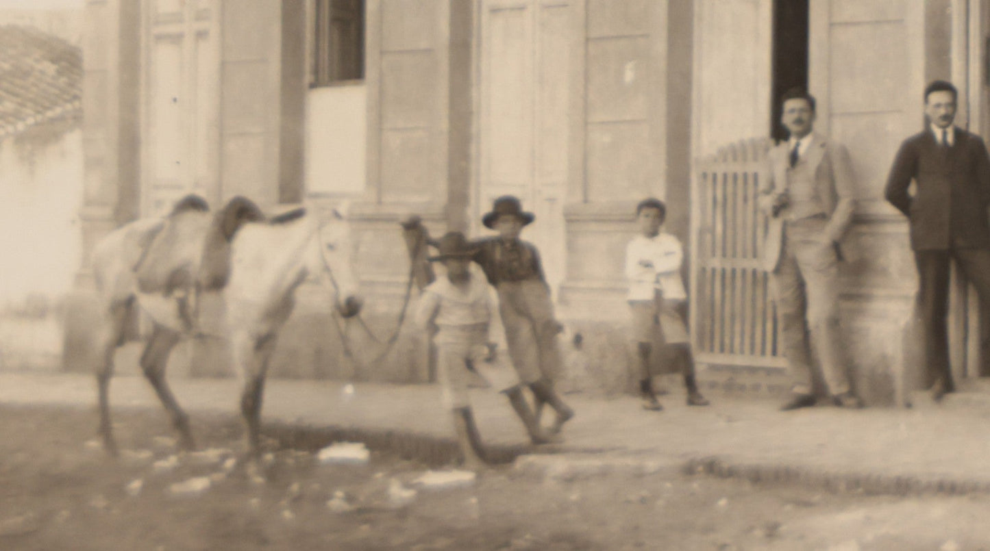 Lot 070 - Antique Mexican Or South American Boarded Photograph Of A General Store Or Like Establishment, Casa Comercial, Sarapiqui & Garofalías, With Two Dogs In Photo