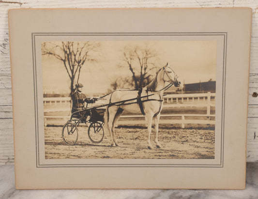 Lot 071 - Antique Boarded Photo Of Reverend Rice With His Prize-Winning Horse "The Ghost,"  Info On Verso