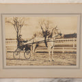 Lot 071 - Antique Boarded Photo Of Reverend Rice With His Prize-Winning Horse "The Ghost,"  Info On Verso