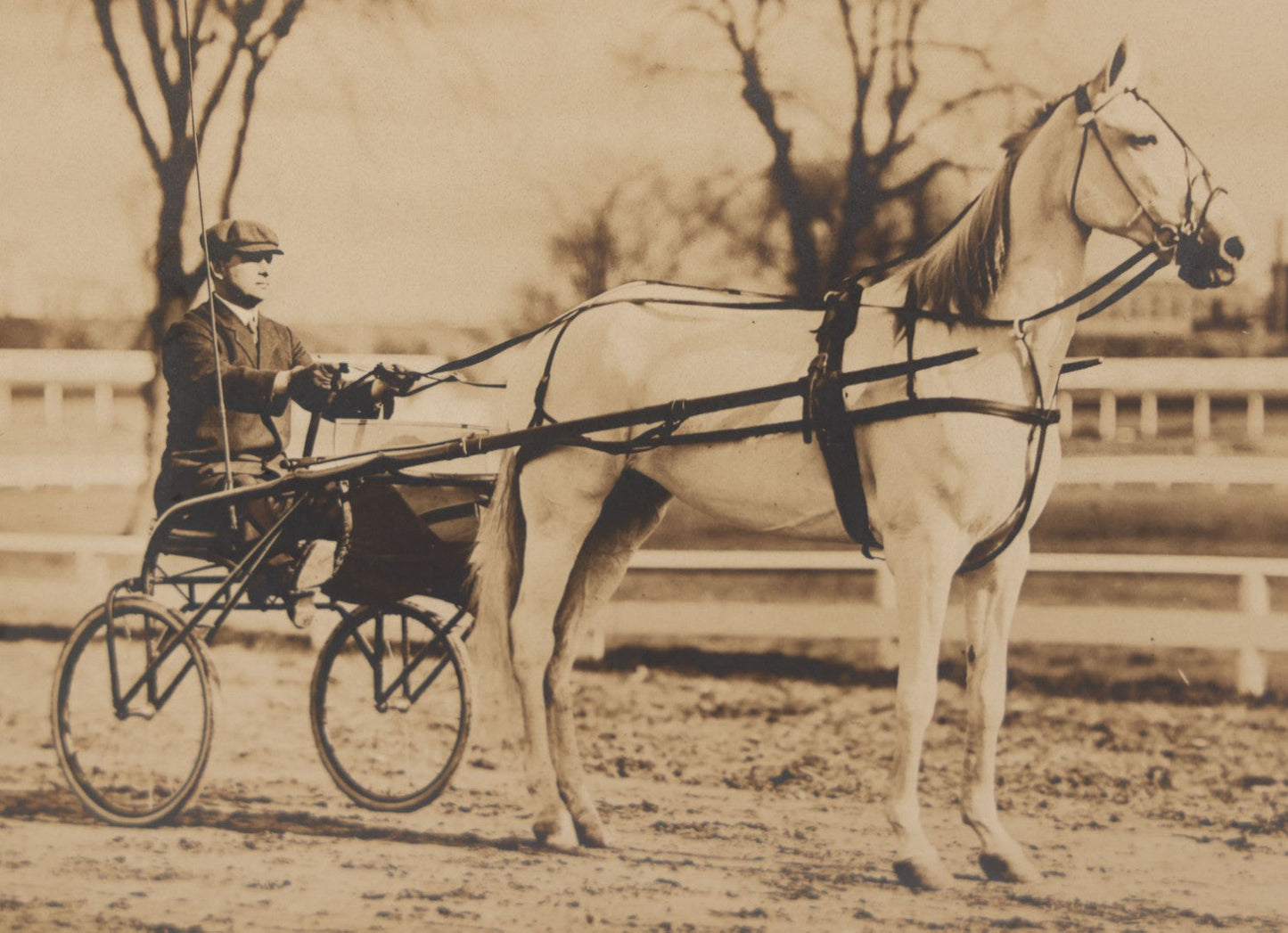 Lot 071 - Antique Boarded Photo Of Reverend Rice With His Prize-Winning Horse "The Ghost,"  Info On Verso