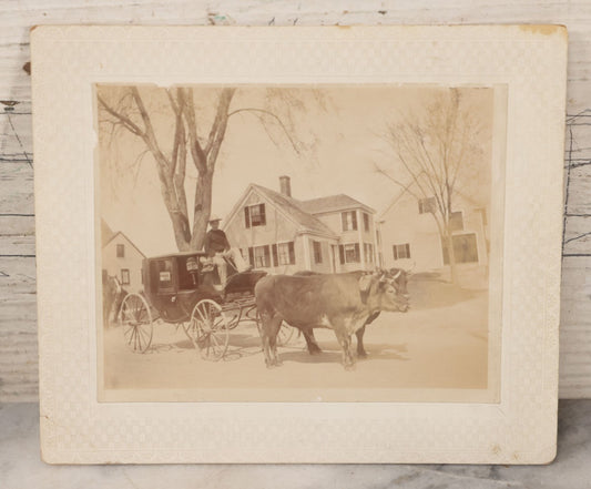 Lot 072 - Antique Boarded Photo Of A Man Driving A Carriage Being Pulled By Two Bulls, House, Barn, Horse In Background