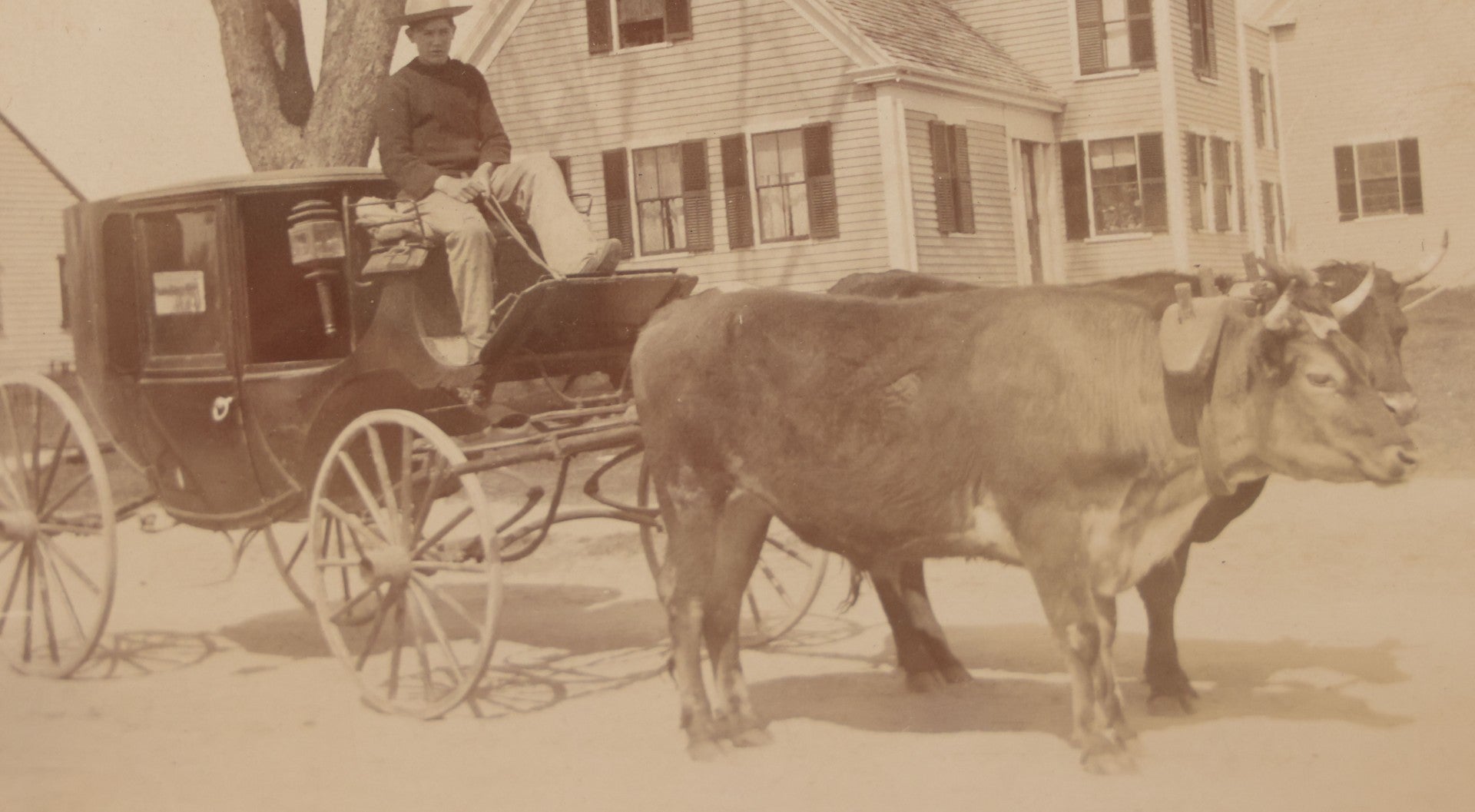 Lot 072 - Antique Boarded Photo Of A Man Driving A Carriage Being Pulled By Two Bulls, House, Barn, Horse In Background