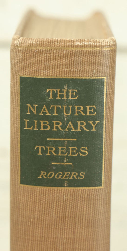 Lot 128 - "The Tree Book: A Popular Guide To A Knowledge Of The Trees Of North America" Antique Book By Julia Ellen Rogers, With 16 Plates In Colour, And 160 In Black And White, Doubleday, Page, And Company Publishers, New York, 1905