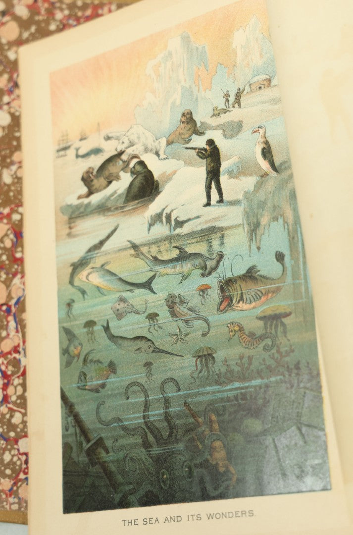 Lot 011 - "Sea And Land, An Illustrated History Of The Wonderful And Curious Things Of Nature" Antique Book By J.W. Buel, Published By Martin Garrison & Co., 1887, Illustrated With Bizarre Scenes And Creatures, Note Cover Detached