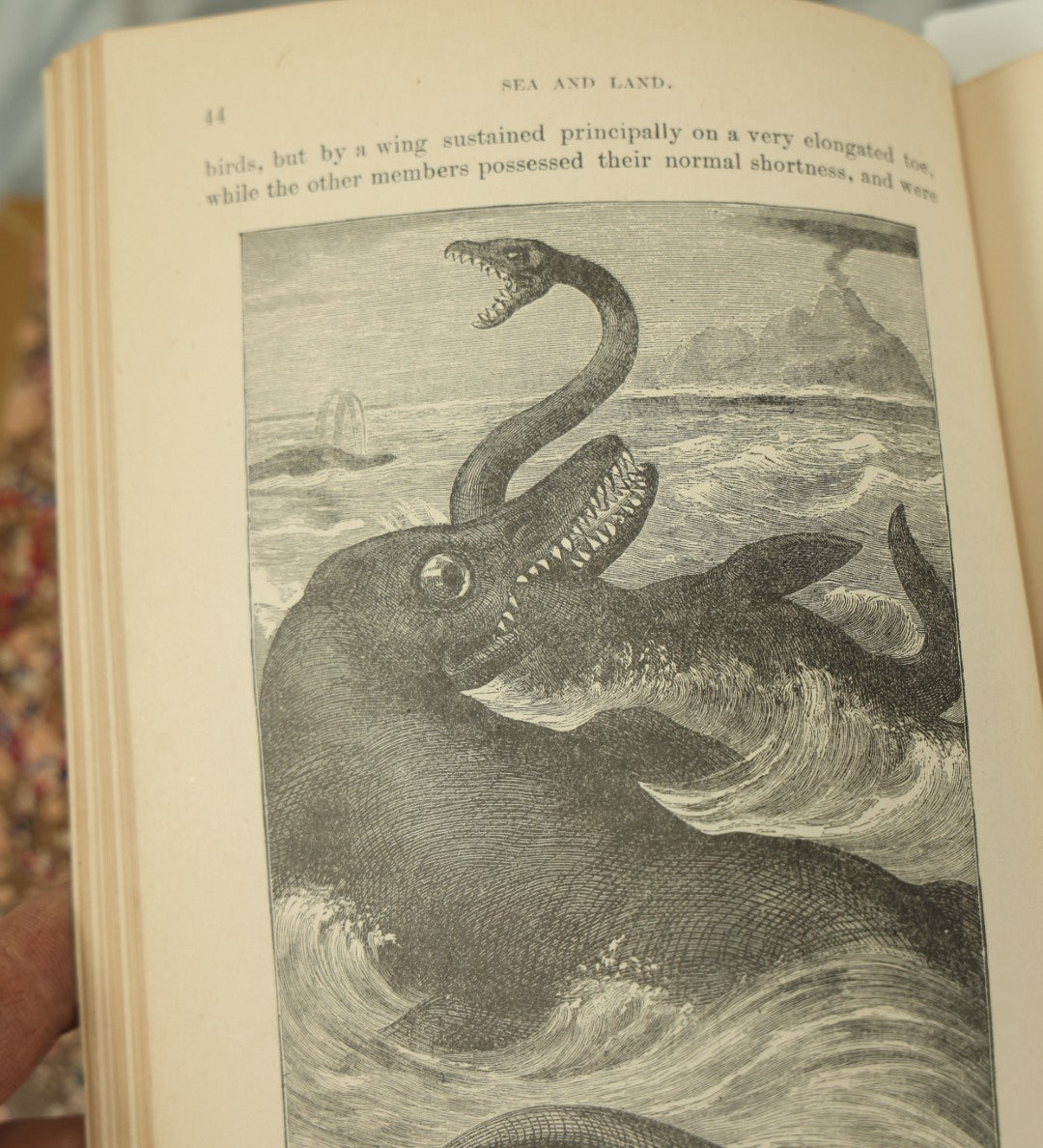 Lot 011 - "Sea And Land, An Illustrated History Of The Wonderful And Curious Things Of Nature" Antique Book By J.W. Buel, Published By Martin Garrison & Co., 1887, Illustrated With Bizarre Scenes And Creatures, Note Cover Detached