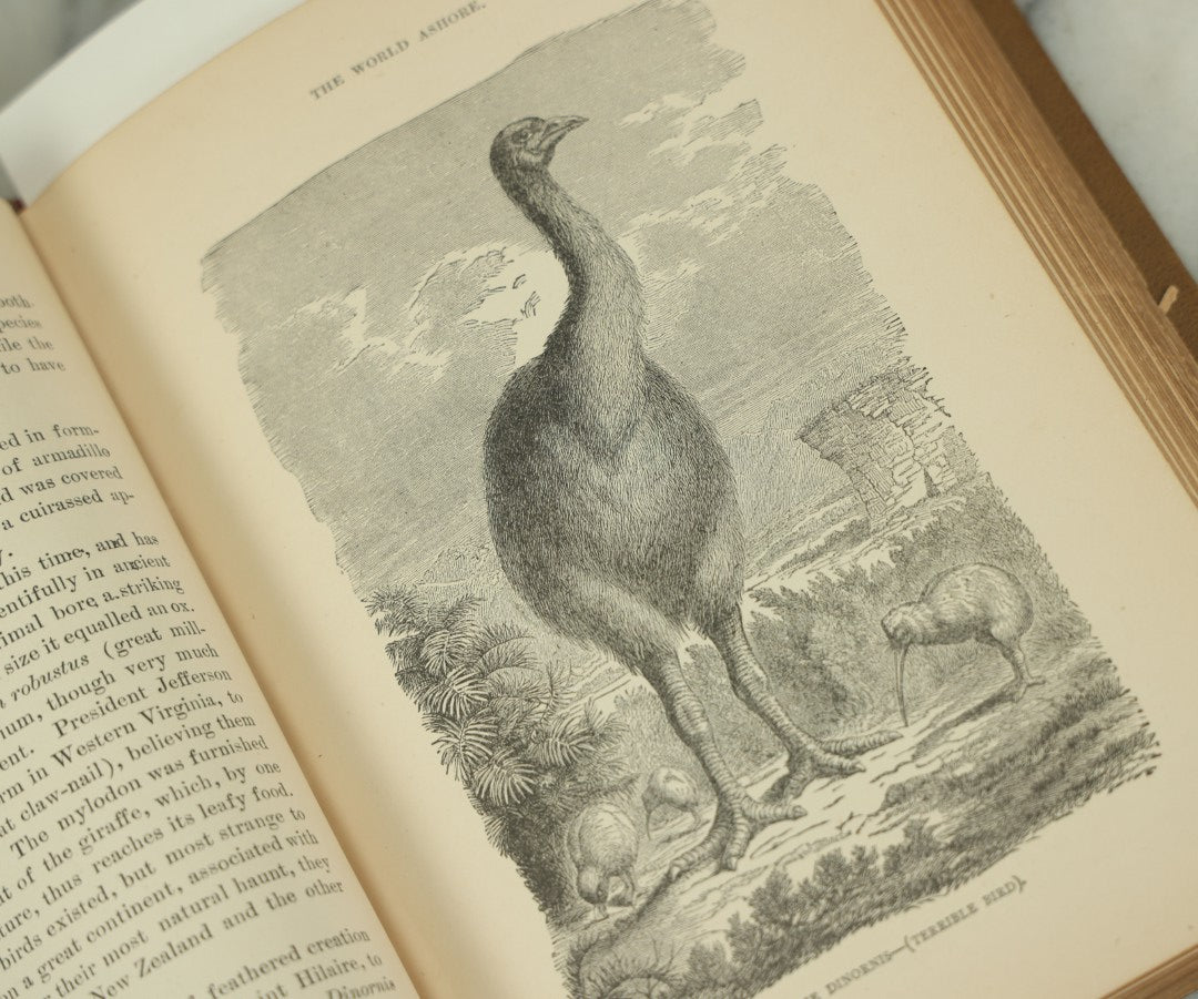 Lot 011 - "Sea And Land, An Illustrated History Of The Wonderful And Curious Things Of Nature" Antique Book By J.W. Buel, Published By Martin Garrison & Co., 1887, Illustrated With Bizarre Scenes And Creatures, Note Cover Detached