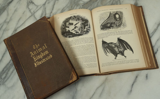 Lot 012 - "Johnson's Natural History Illustrating The Animal Kingdom With Its Wonders And Curiosities" Two Volume Antique Book Set By S.G. Goodrich, Illustrated With Over 1000 Illustrations, A.J. Johnson Publisher, 1874, New York