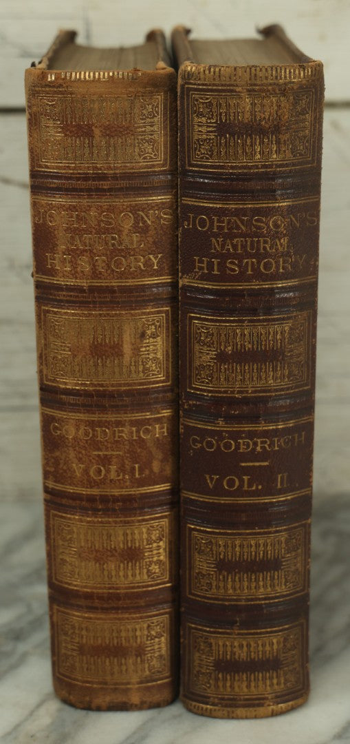 Lot 012 - "Johnson's Natural History Illustrating The Animal Kingdom With Its Wonders And Curiosities" Two Volume Antique Book Set By S.G. Goodrich, Illustrated With Over 1000 Illustrations, A.J. Johnson Publisher, 1874, New York