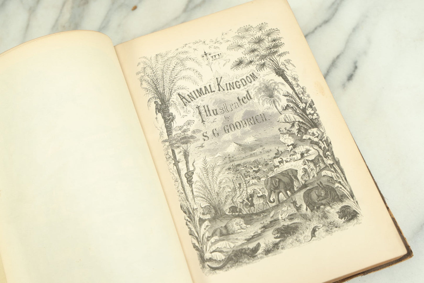 Lot 012 - "Johnson's Natural History Illustrating The Animal Kingdom With Its Wonders And Curiosities" Two Volume Antique Book Set By S.G. Goodrich, Illustrated With Over 1000 Illustrations, A.J. Johnson Publisher, 1874, New York