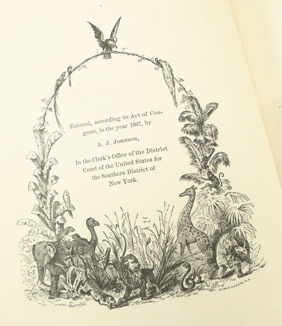 Lot 012 - "Johnson's Natural History Illustrating The Animal Kingdom With Its Wonders And Curiosities" Two Volume Antique Book Set By S.G. Goodrich, Illustrated With Over 1000 Illustrations, A.J. Johnson Publisher, 1874, New York