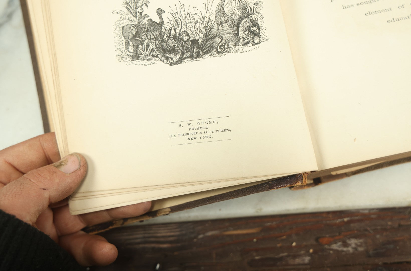 Lot 012 - "Johnson's Natural History Illustrating The Animal Kingdom With Its Wonders And Curiosities" Two Volume Antique Book Set By S.G. Goodrich, Illustrated With Over 1000 Illustrations, A.J. Johnson Publisher, 1874, New York