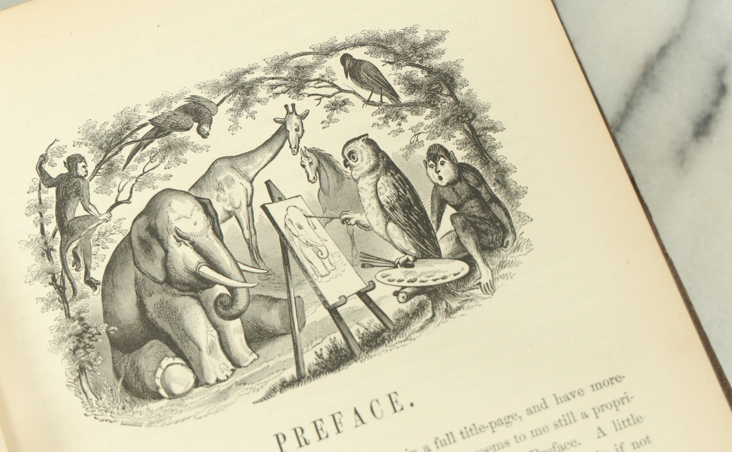 Lot 012 - "Johnson's Natural History Illustrating The Animal Kingdom With Its Wonders And Curiosities" Two Volume Antique Book Set By S.G. Goodrich, Illustrated With Over 1000 Illustrations, A.J. Johnson Publisher, 1874, New York