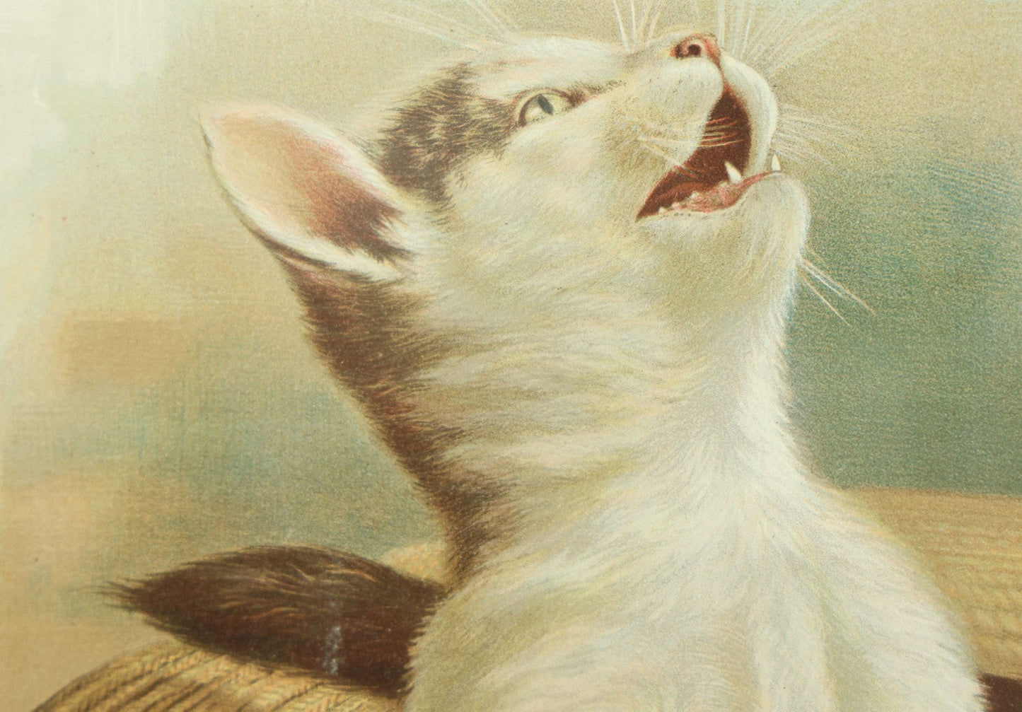 Lot 040 - Antique Chromolithograph Entitled "A Love Song" Featuring Two White Cats In A Hat, Copyright 1894 By J. Ottmann Lithograph Company, New York, 17-1/2" x 13-3/8"