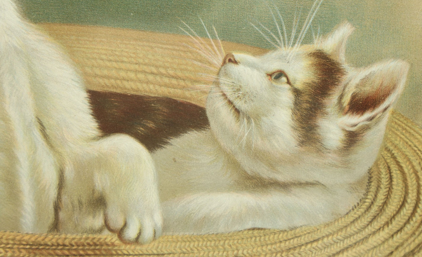 Lot 040 - Antique Chromolithograph Entitled "A Love Song" Featuring Two White Cats In A Hat, Copyright 1894 By J. Ottmann Lithograph Company, New York, 17-1/2" x 13-3/8"