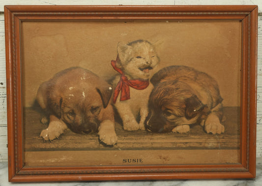 Lot 041 - Vintage 3D Puffed Out Print Illustration Of A Kitten And Two Dogs, Entitled "Susie," 20th Century, 13-1/4" x 9-1/4"