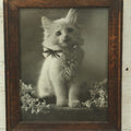 Lot 044 - Antique Photographic Cat Print Of White Kitten With A Bow, Copyright 1907 By C.E. Bullard, 8-1/8" x 9-3/4"