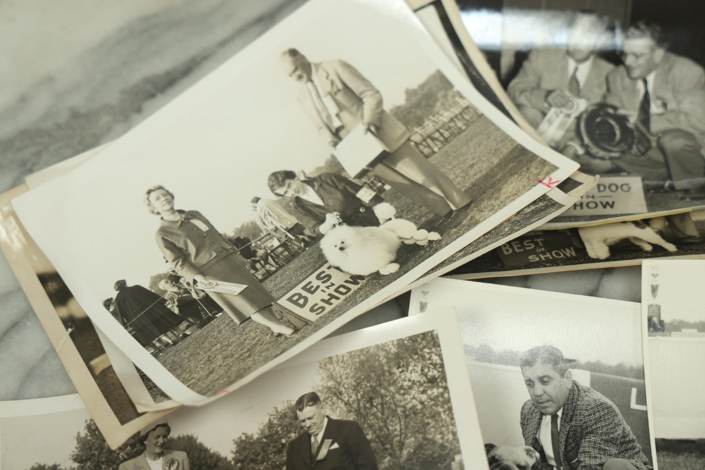 Lot 076 - Grouping Of 50+ Vintage Glossy Press Photographs Of Dog Shows, Best In Show Winners, Many Breeds Including Bulldogs, Poodles, And More, Circa 1950s, For Popular Dogs Magazine