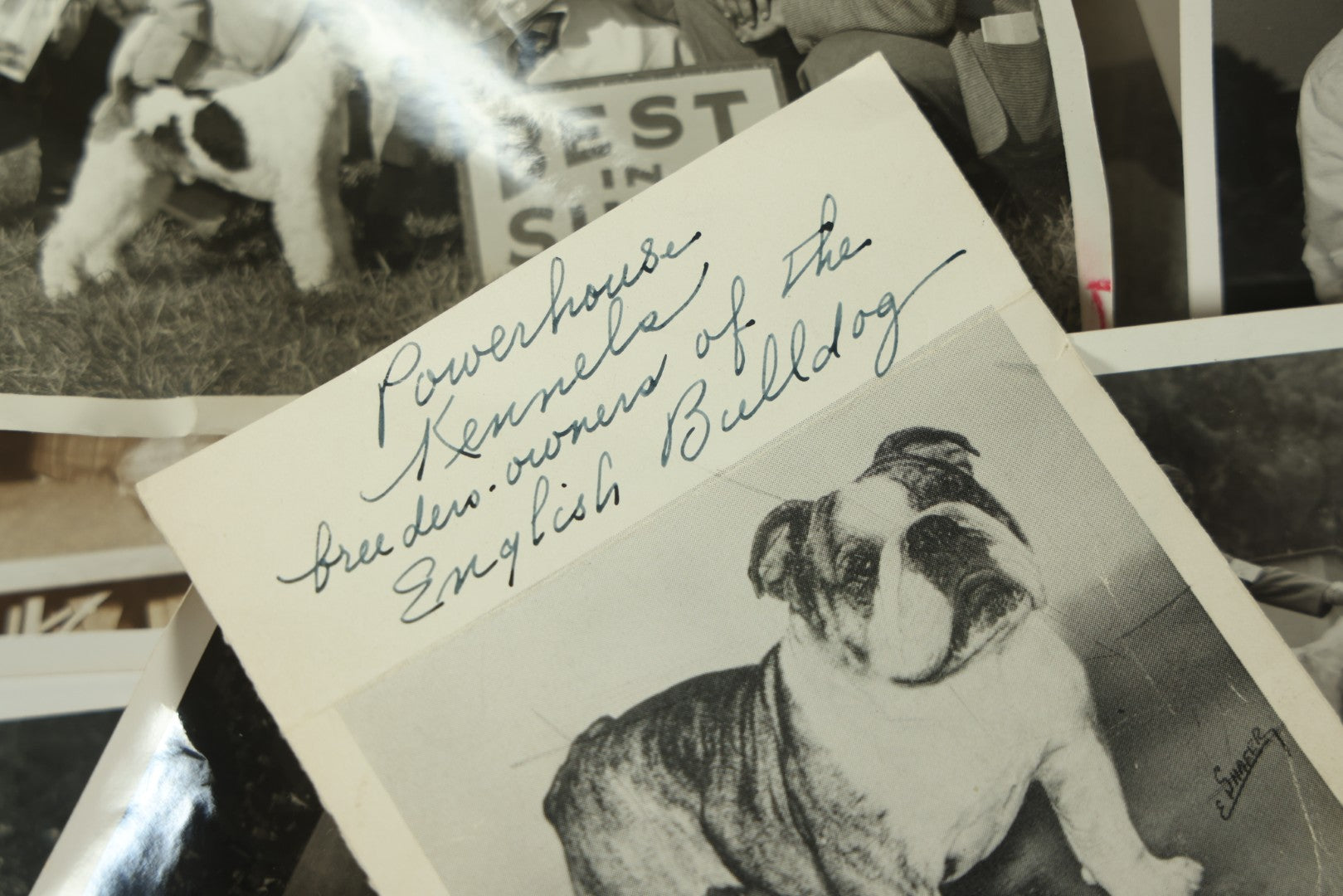 Lot 076 - Grouping Of 50+ Vintage Glossy Press Photographs Of Dog Shows, Best In Show Winners, Many Breeds Including Bulldogs, Poodles, And More, Circa 1950s, For Popular Dogs Magazine