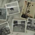 Lot 077 - Grouping Of Six Vintage Cat Snap Shot Photographs Including Siamese Cat Litter, "The Cat That Bit Me" And Others