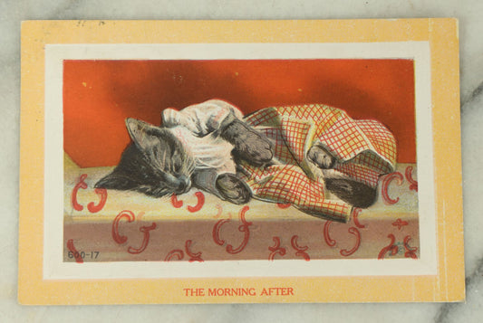 Lot 081 - Single Antique Cat Postcard, Cat Asleep In Clothes, "The Morning After," Postmarked 1913