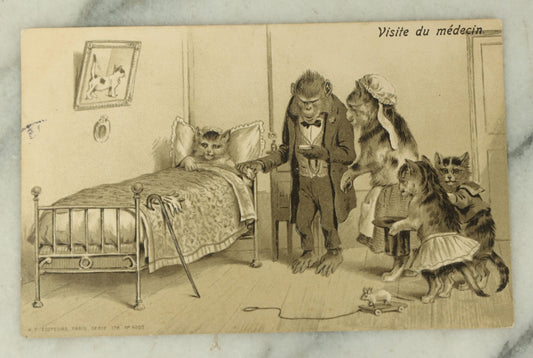 Lot 084 - Single Antique Cat Postcard, "Visite Du Medecin" Monkey Doctor Visiting Sick Cat In Bed, Postmarked 1905