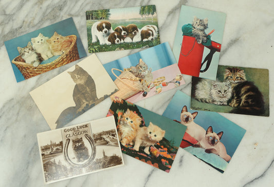 Lot 086 - Grouping Of Nine Vintage Photographic Cat Postcards, Dog Postcard, Including Siamese Cats, And More