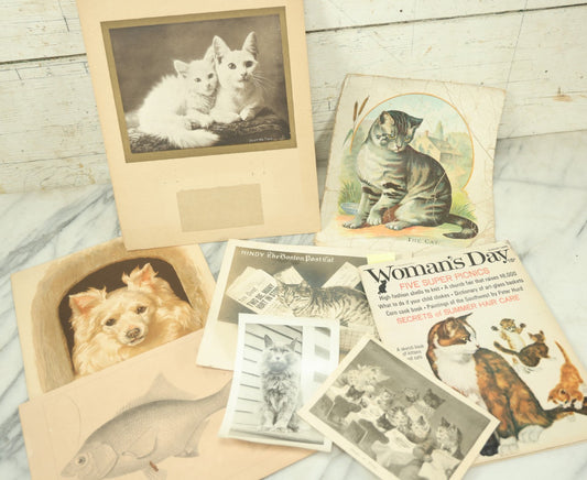 Lot 088 - Grouping Of Eight Pieces Of Cat And Dog Ephemera Including Partial White Cat Calendar, Fish Diagram, Dog Litho, Etc., 