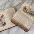 Lot 001 - "A History Of The Earth And Animated Nature" Antique Natural History Two Volume Book Set By Oliver Goldsmith, Profusely Illustrated With Hand Colored Engravings, Published By Blackie And Son, Glasgow, 1857