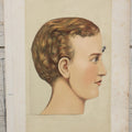 Lot 025 - Antique Medical Anatomy Bookplate Fold Out Double Sided Diagrams Of The Head And The Eye And Ear, Folds Out To Show Details Of Anatomy, 10-1/2" x 14-1/2"