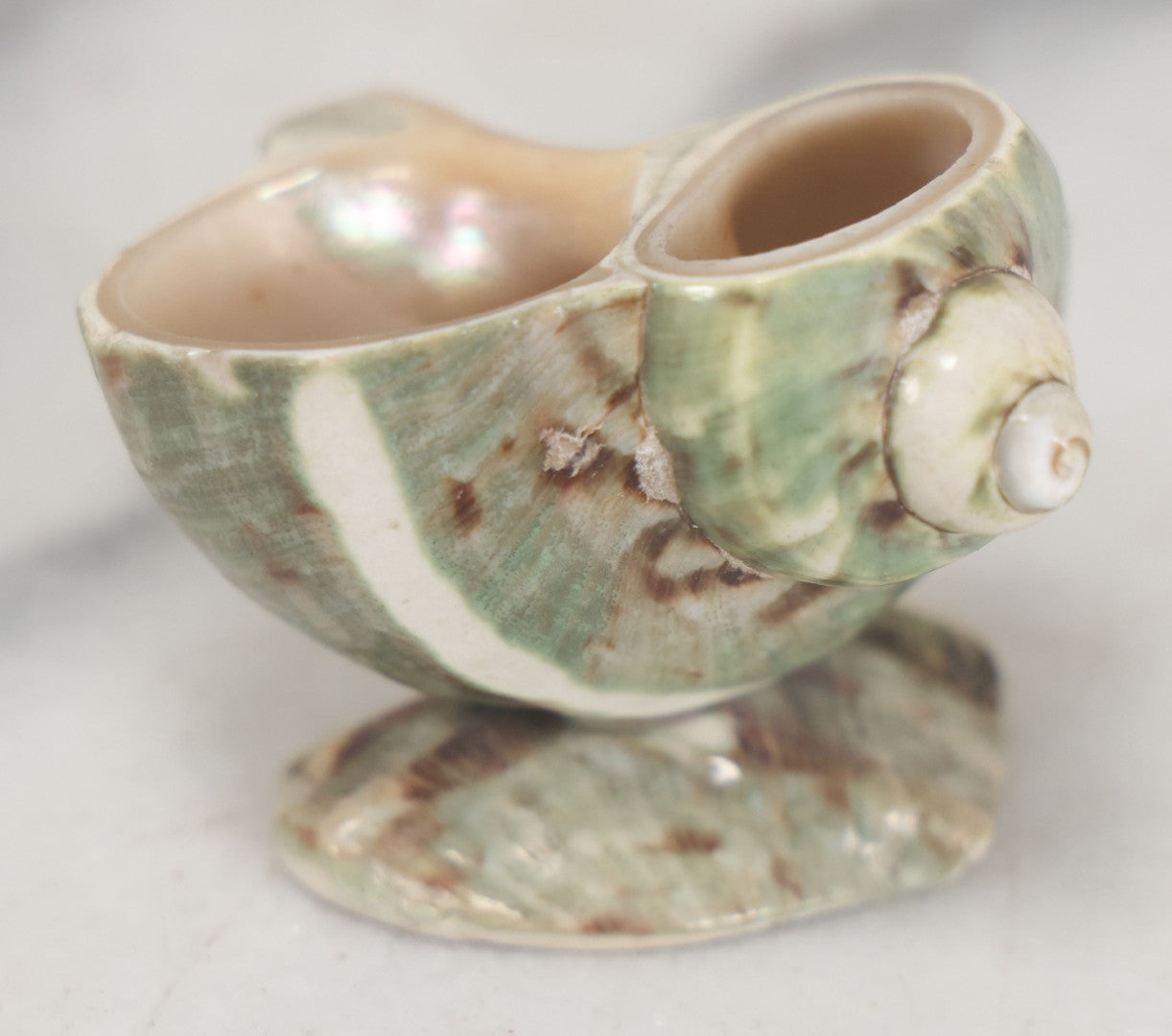 Lot 035 - Antique Real Shell Nautilus Salt Cellar With Shell Base, Polished Surface