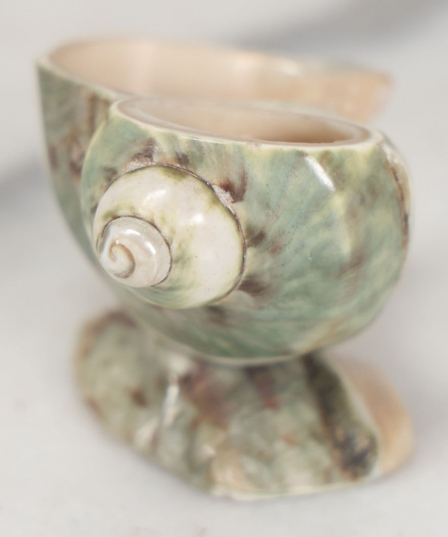 Lot 035 - Antique Real Shell Nautilus Salt Cellar With Shell Base, Polished Surface