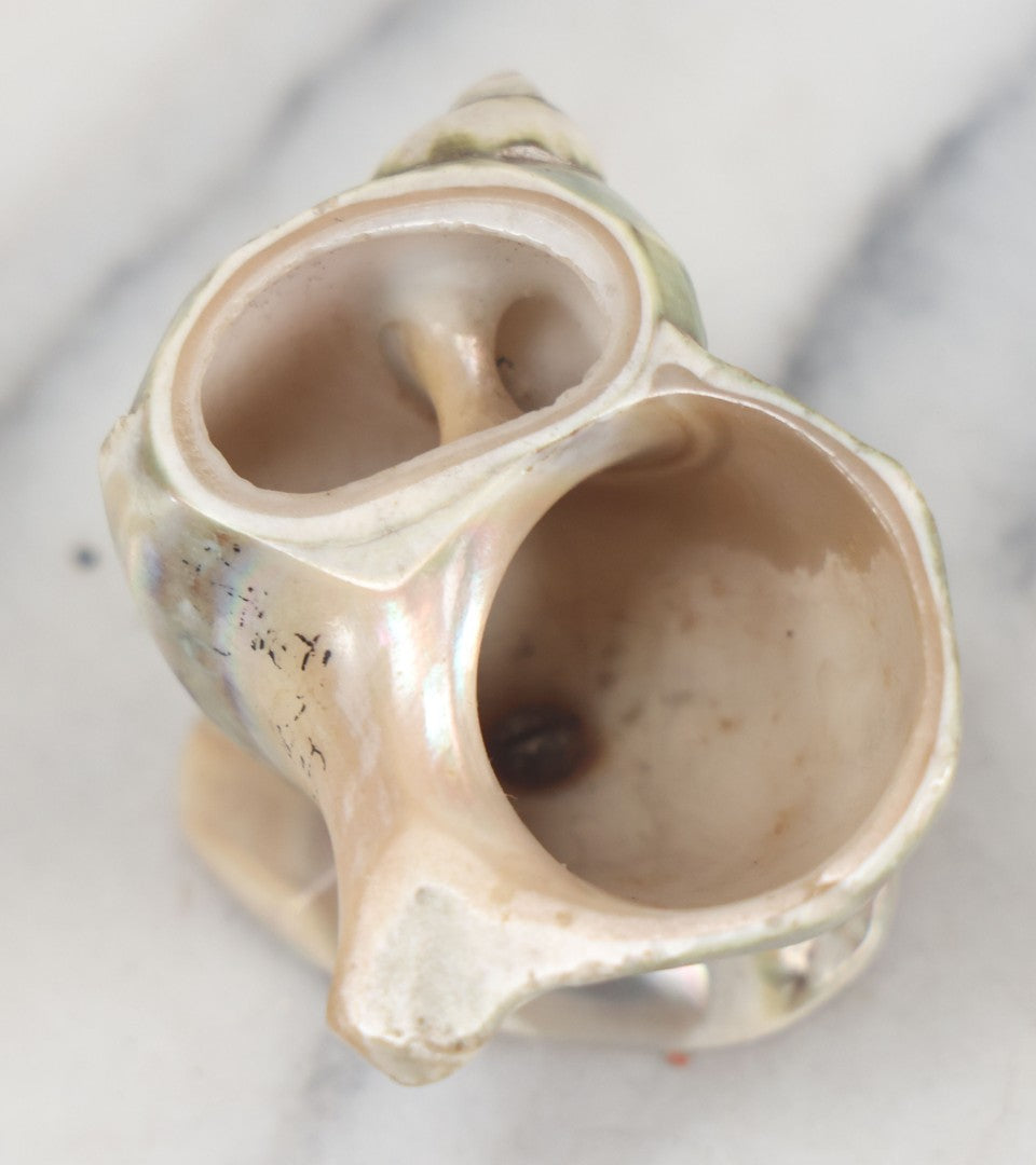 Lot 035 - Antique Real Shell Nautilus Salt Cellar With Shell Base, Polished Surface