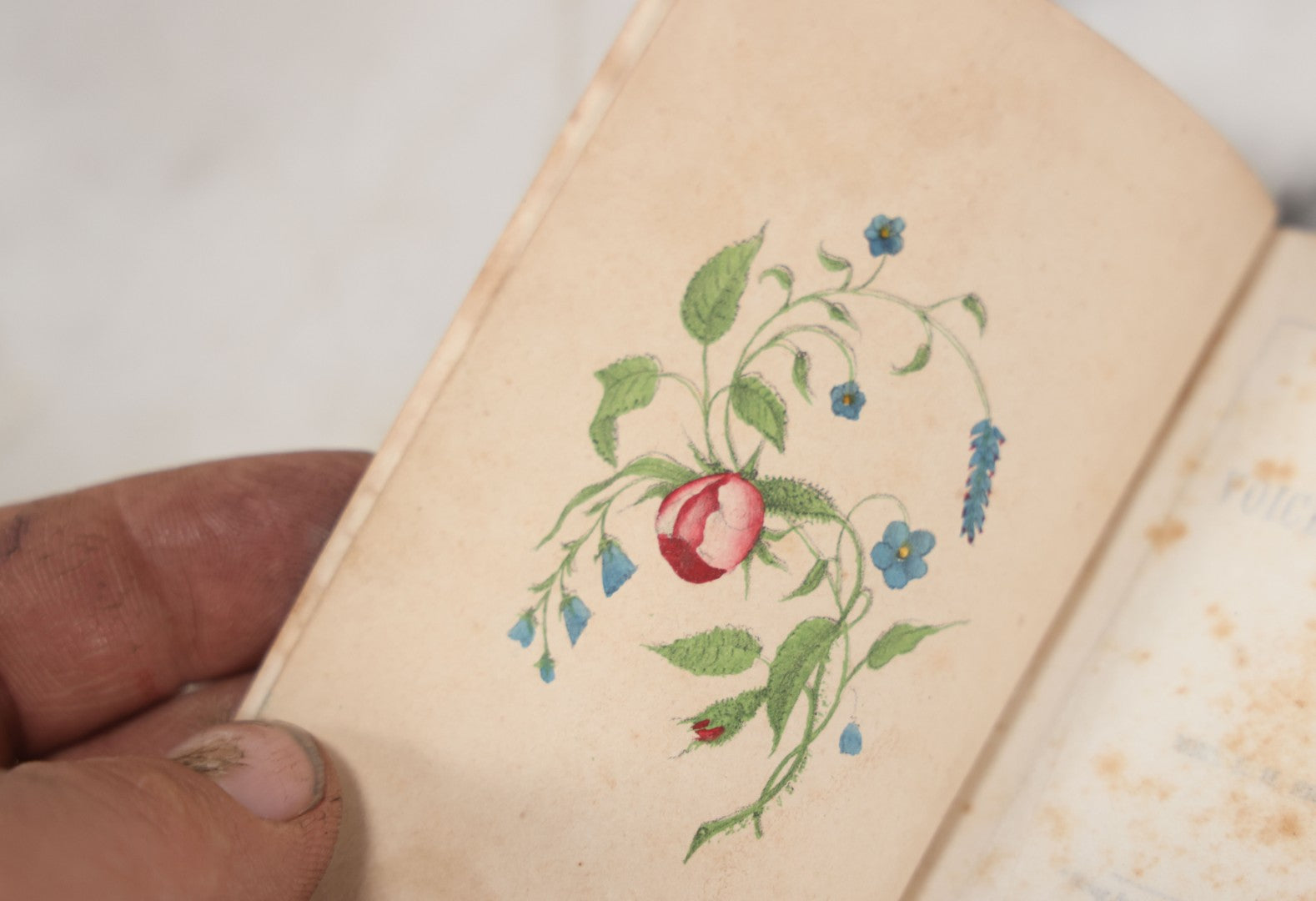 Lot 054 - "The Voice Of Flowers" Antique Book By Mrs. L.H. Sigourney, H.S. Parsons And Company, Publishers, 1846, With Hand Colored Flower Illustration