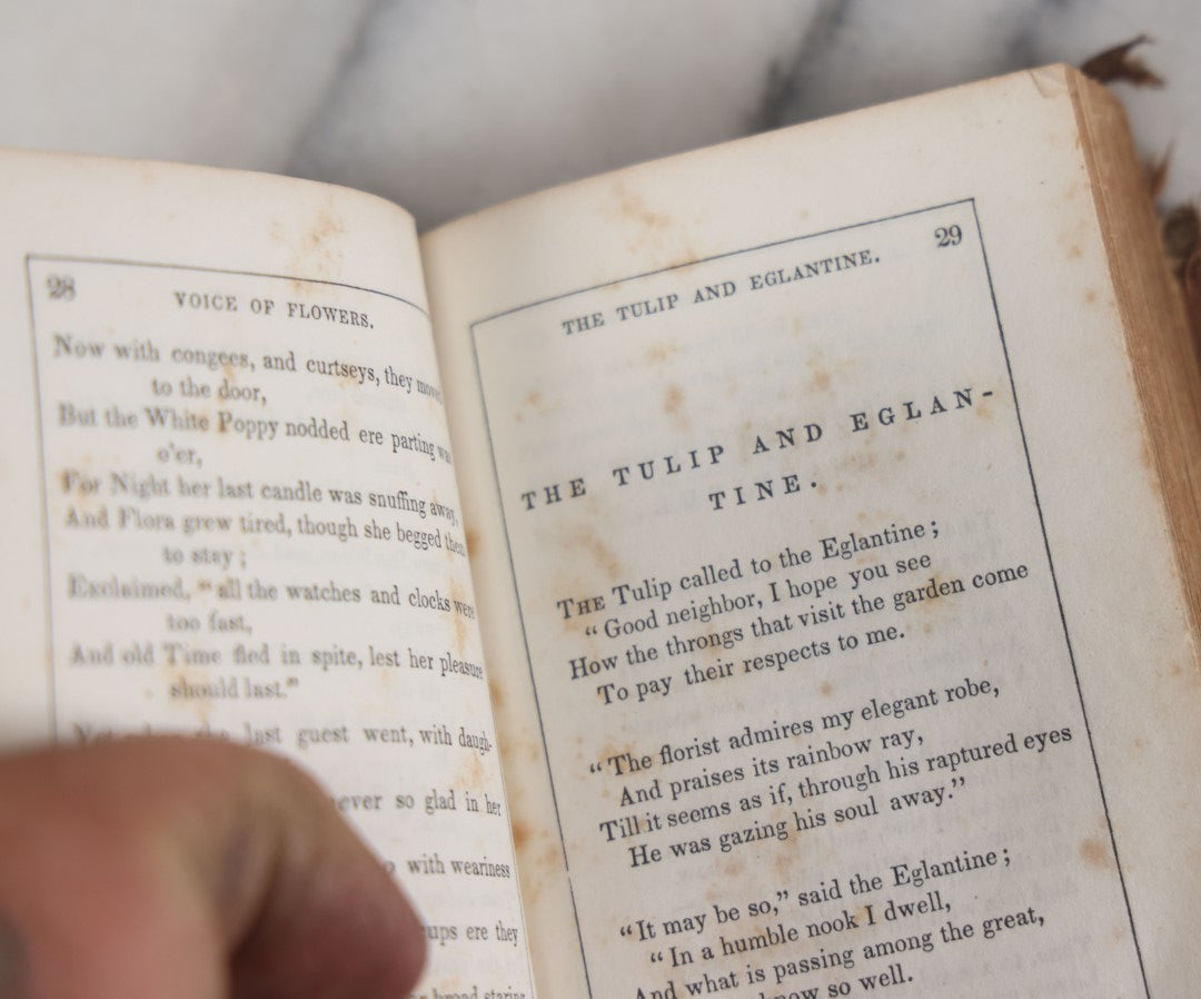 Lot 054 - "The Voice Of Flowers" Antique Book By Mrs. L.H. Sigourney, H.S. Parsons And Company, Publishers, 1846, With Hand Colored Flower Illustration