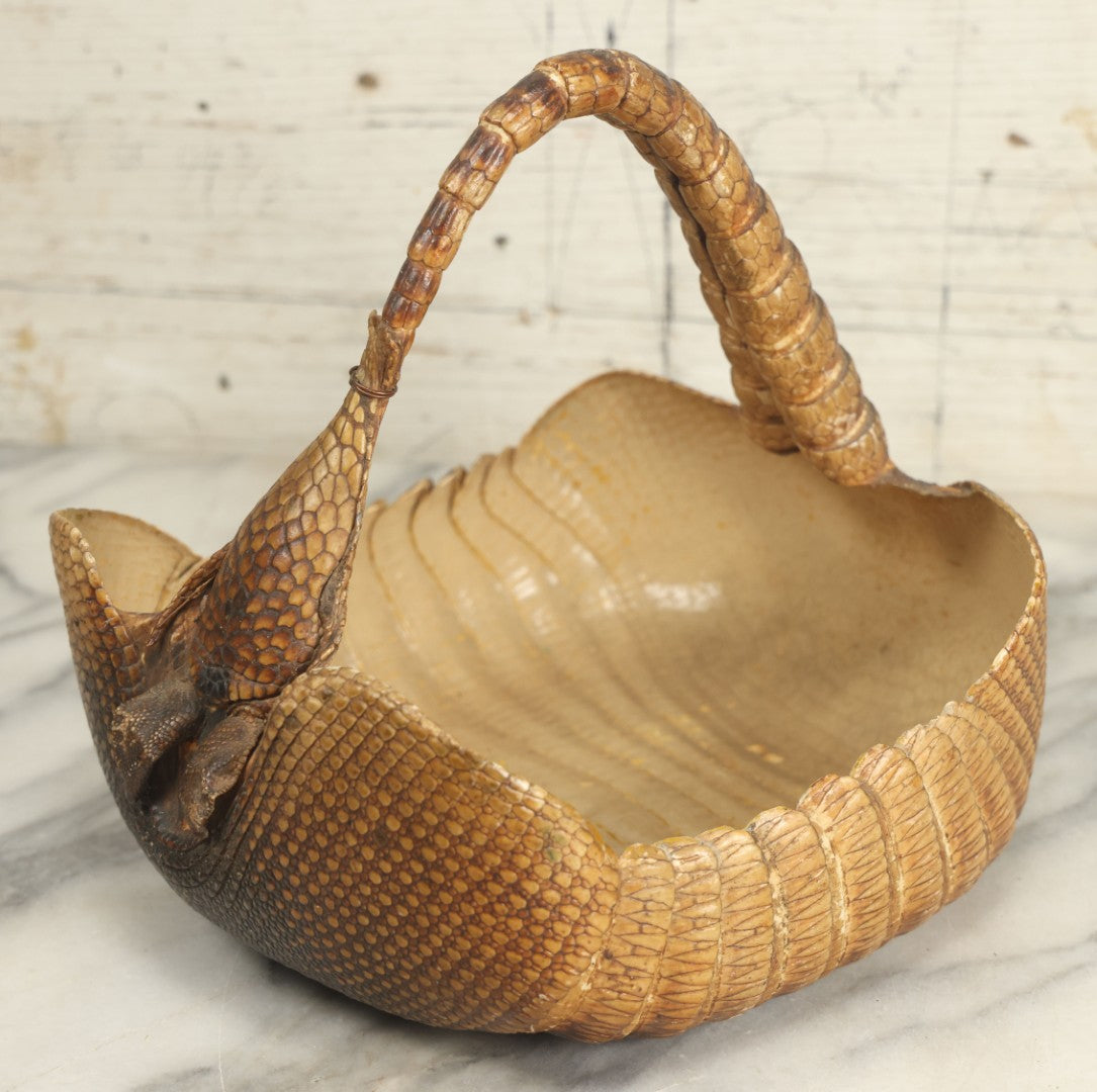 Lot 003 - Vintage Taxidermy Armadillo Purse Novelty, Made From A Genuine Armadillo