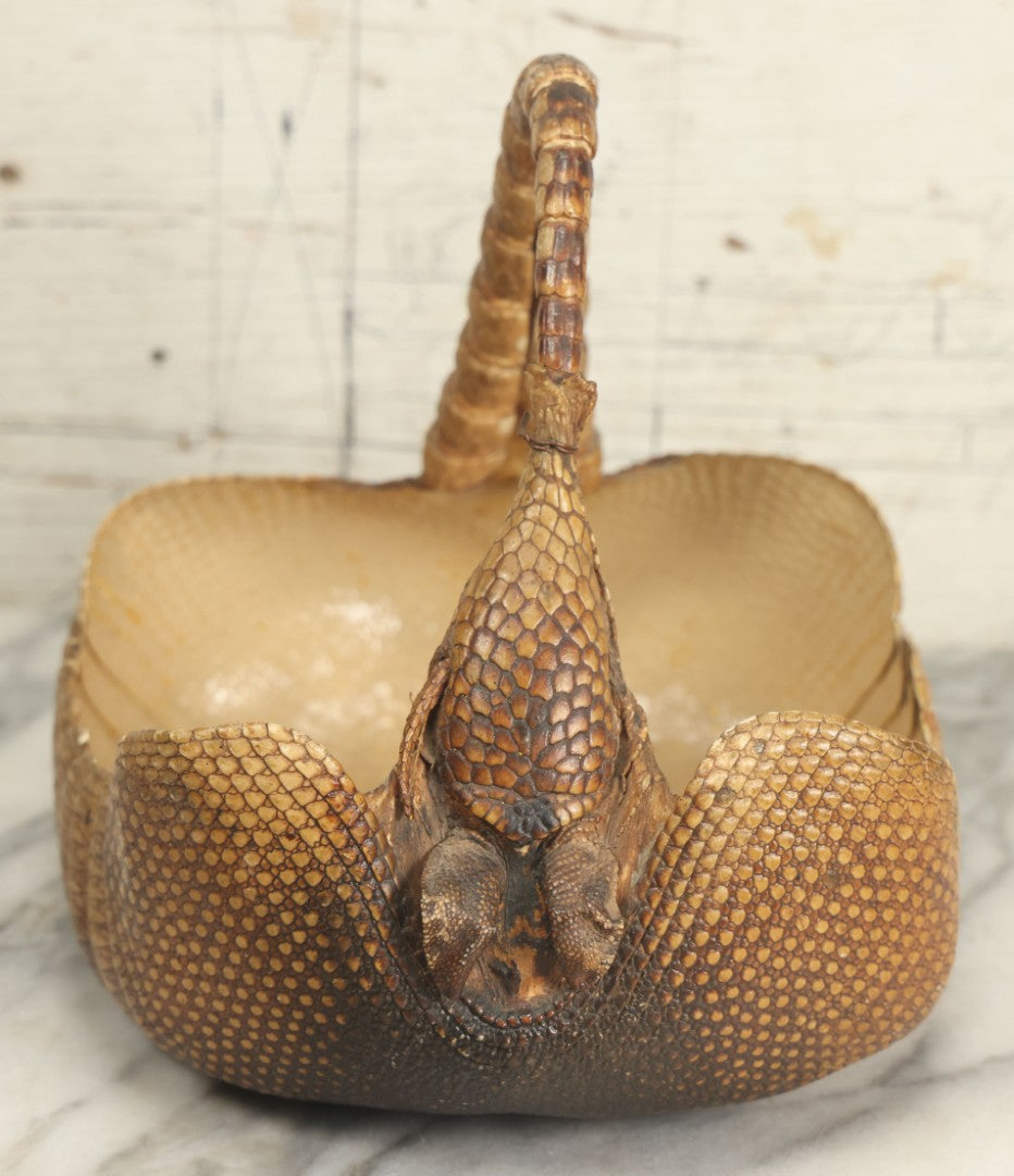 Lot 003 - Vintage Taxidermy Armadillo Purse Novelty, Made From A Genuine Armadillo