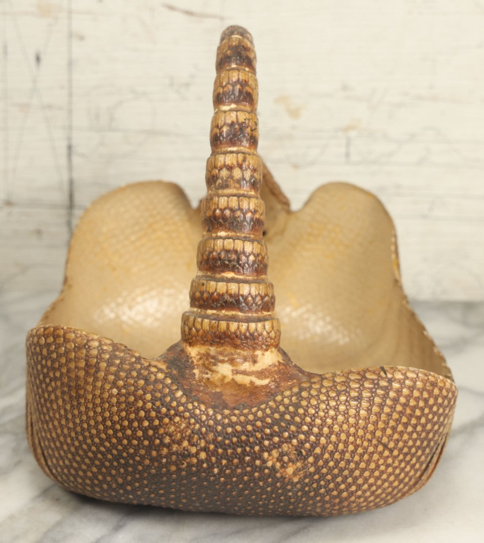 Lot 003 - Vintage Taxidermy Armadillo Purse Novelty, Made From A Genuine Armadillo