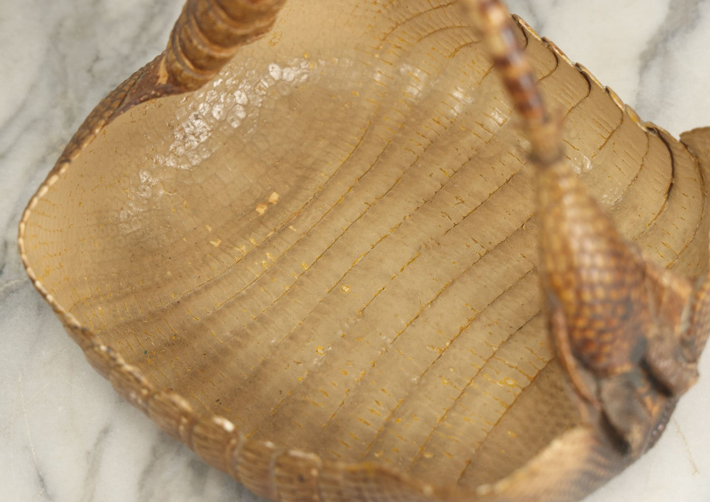 Lot 003 - Vintage Taxidermy Armadillo Purse Novelty, Made From A Genuine Armadillo