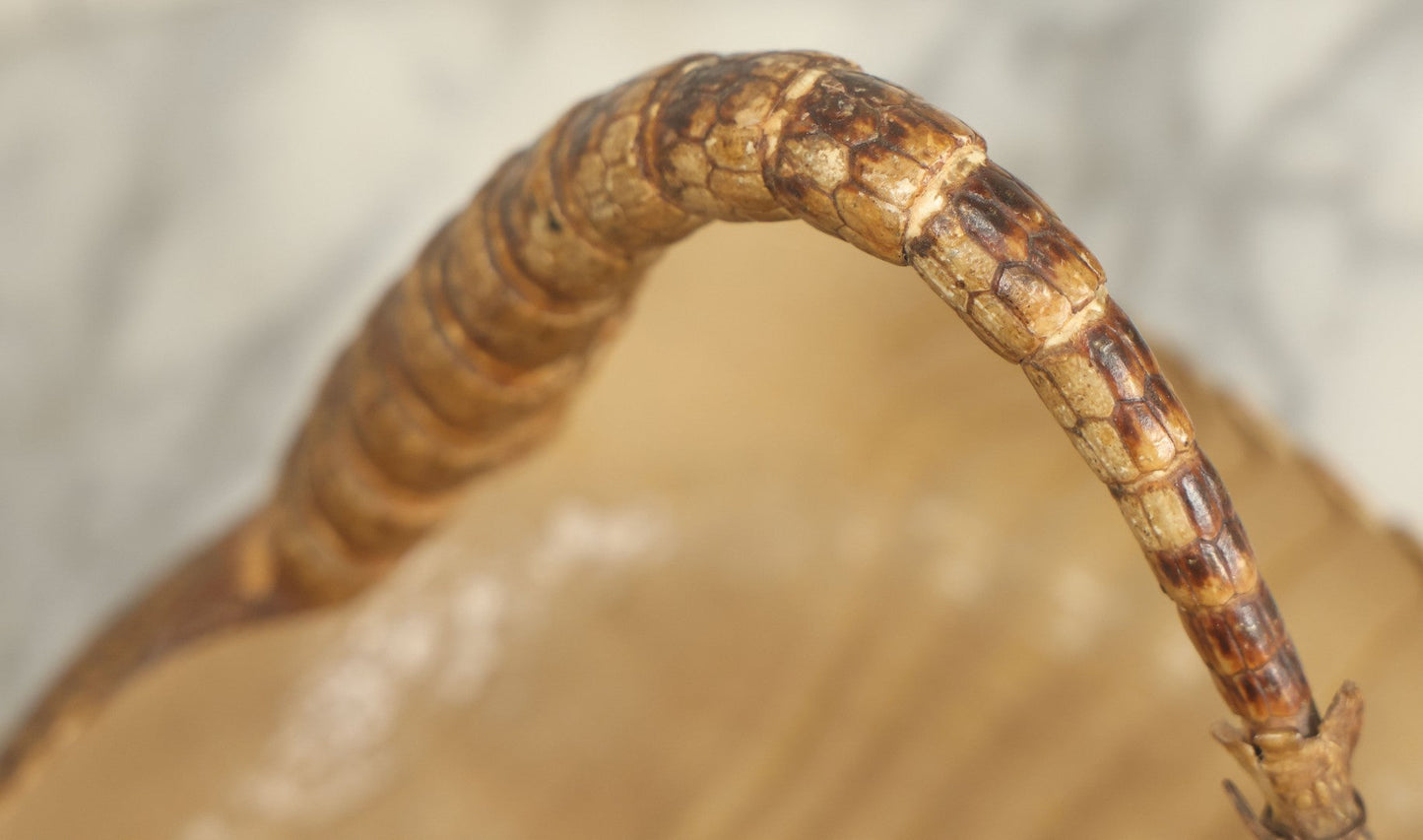 Lot 003 - Vintage Taxidermy Armadillo Purse Novelty, Made From A Genuine Armadillo