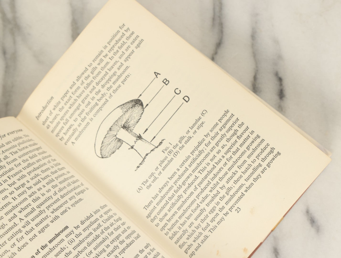 Lot 135 - "Mushroom Growing For Everyone" Vintage Book By Roy Genders, The B.B.C. Television Mushroom Grower, 1974 Reprint, Illustrated 