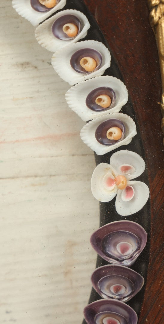 Lot 008 - Antique Victorian Eastlake Double Frame With Decorative Real Shell Surround, Shell Flowers, Sailors Valentine, 17" x 18-7/8"