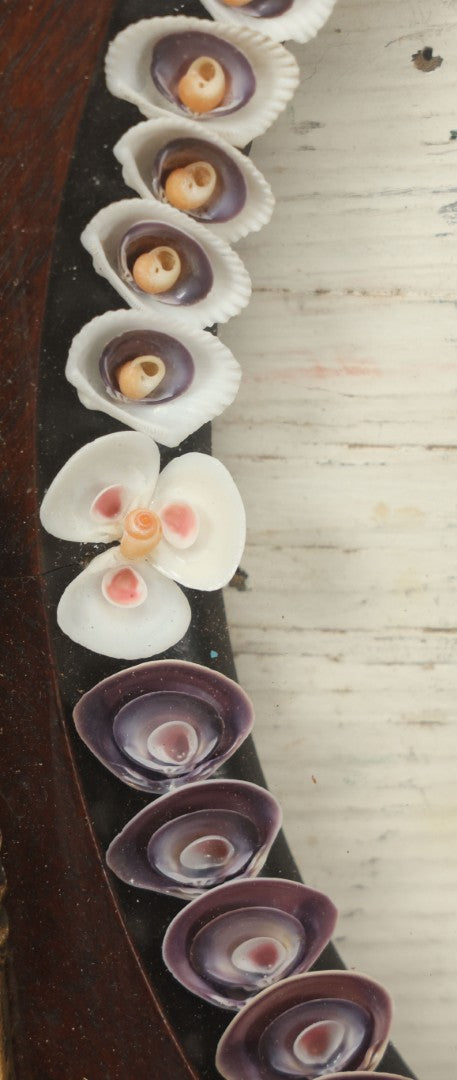 Lot 008 - Antique Victorian Eastlake Double Frame With Decorative Real Shell Surround, Shell Flowers, Sailors Valentine, 17" x 18-7/8"
