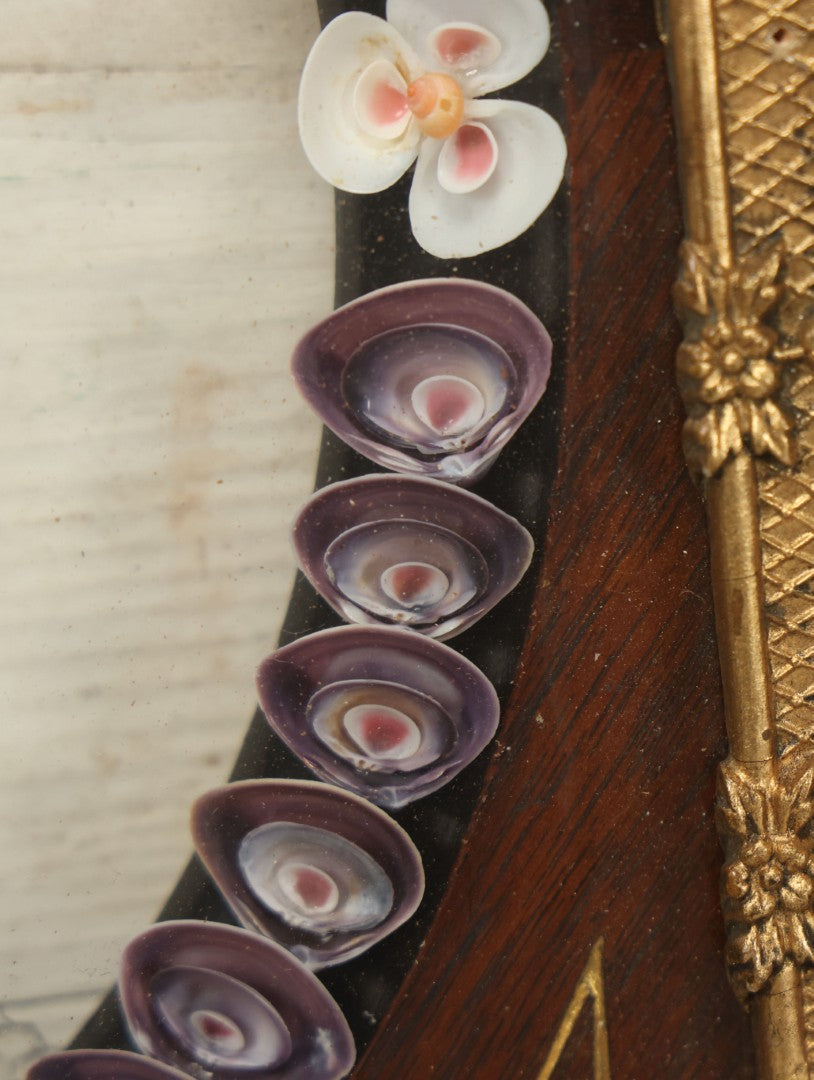 Lot 008 - Antique Victorian Eastlake Double Frame With Decorative Real Shell Surround, Shell Flowers, Sailors Valentine, 17" x 18-7/8"