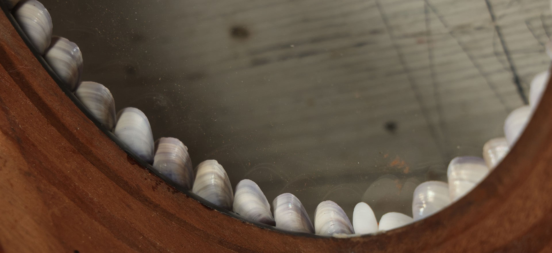 Lot 008 - Antique Victorian Eastlake Double Frame With Decorative Real Shell Surround, Shell Flowers, Sailors Valentine, 17" x 18-7/8"