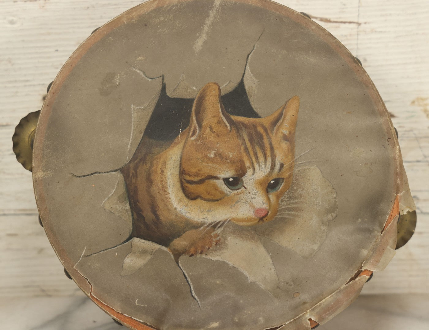 Lot 018 - Antique Hand Painted Kitten Cat Tambourine, As Found, Note Tears, Wear, 8" Diameter