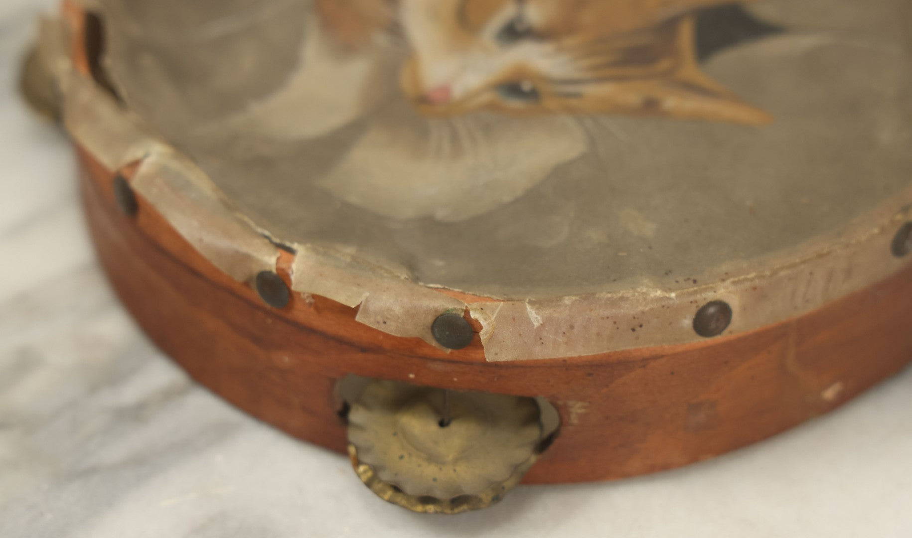Lot 018 - Antique Hand Painted Kitten Cat Tambourine, As Found, Note Tears, Wear, 8" Diameter