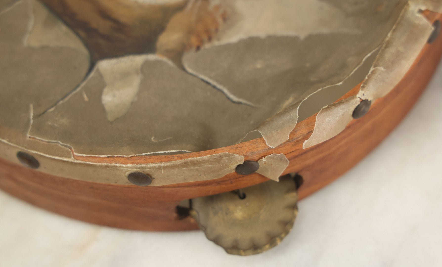 Lot 018 - Antique Hand Painted Kitten Cat Tambourine, As Found, Note Tears, Wear, 8" Diameter