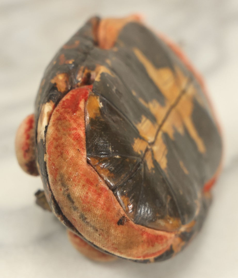 Lot 023 - Antique Folk Art Hand Painted Handmade Turtle Shell Pin Cushion With Handle, Painted Details