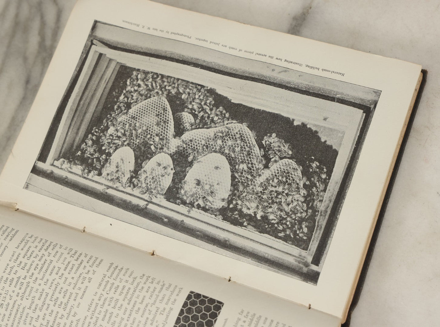 Lot 047 - "The Abc And Xyz Of Bee Culture" Antique Book By A.I. Root And E.R. Root, All About The Care Of Honey Bees, Profusely Illustrated, 1913 Edition