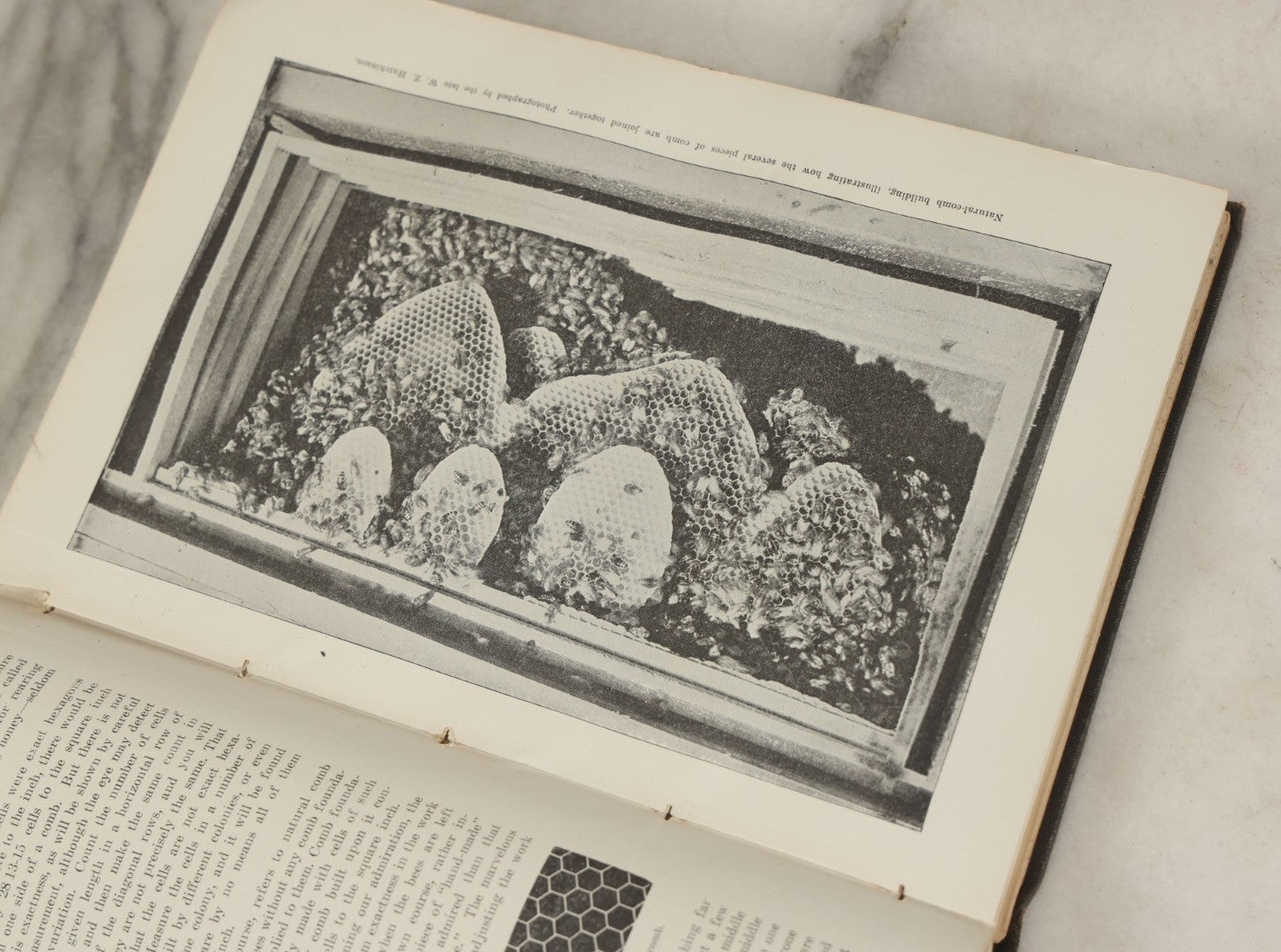 Lot 047 - "The Abc And Xyz Of Bee Culture" Antique Book By A.I. Root And E.R. Root, All About The Care Of Honey Bees, Profusely Illustrated, 1913 Edition